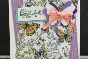 Card using Sale-a-bration Butterfly Gala paper
