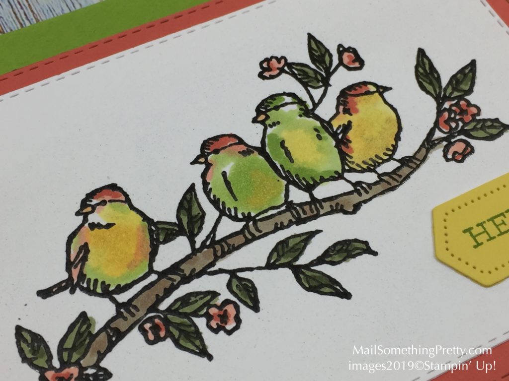 Cards made with Free as a Bird stamp set