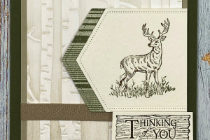 two-toned woodland background with deer on card