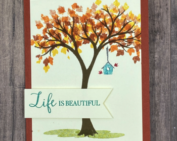 4 Seasons in Life is Beautiful Stamp Set