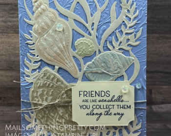 Friends are like seashells