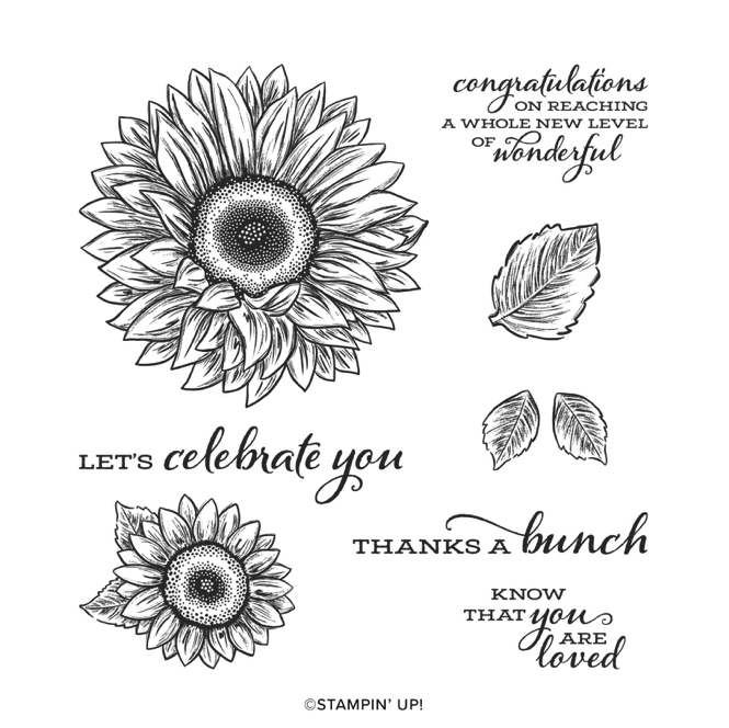 Celebrate Sunflowers stamp set