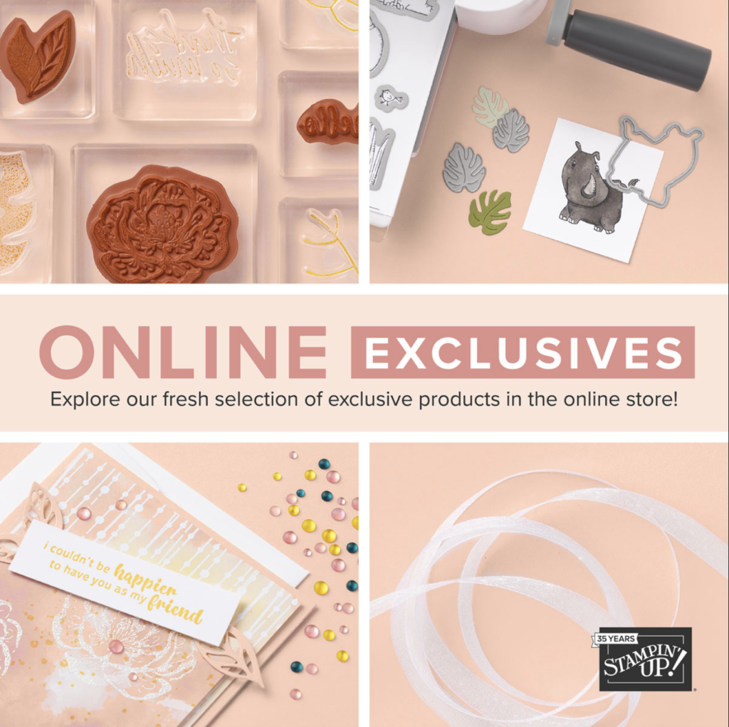 Online Exclusives Products. These new products can only be seen on the Stampin' Up! online store, not in any of their catalogs.