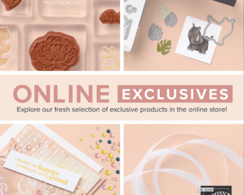 Online Exclusives Products. These new products can only be seen on the Stampin' Up! online store, not in any of their catalogs.