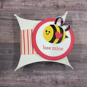 Bee Mine square pillow box treat