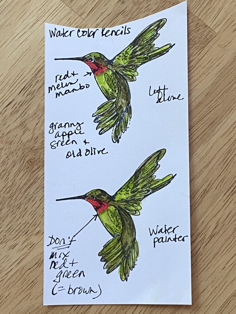 Watercolor pencil hummingbird chart