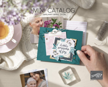 2026 Mini Catalog